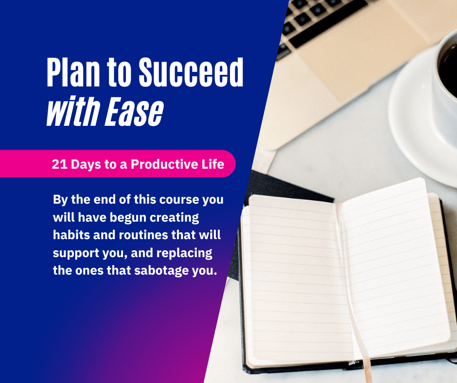 Plan to Succeed Course Cover